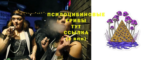 синтетический гашиш Богородицк